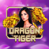 Dragon Tiger spin the wheel live casino
